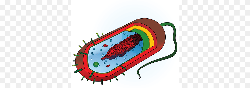 Bacterium Dynamite, Weapon Free Png Download
