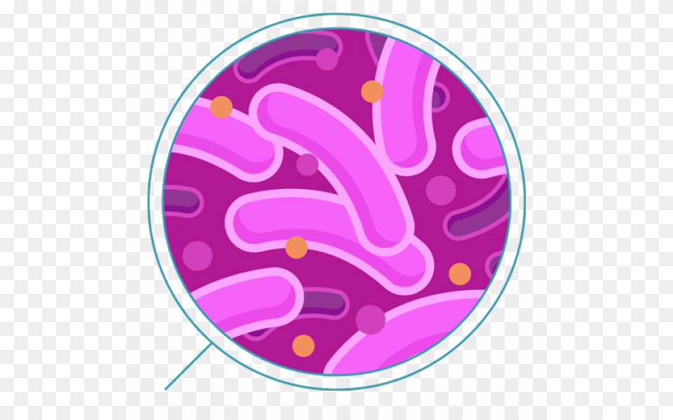 Bactria, Purple, Pattern Png Image