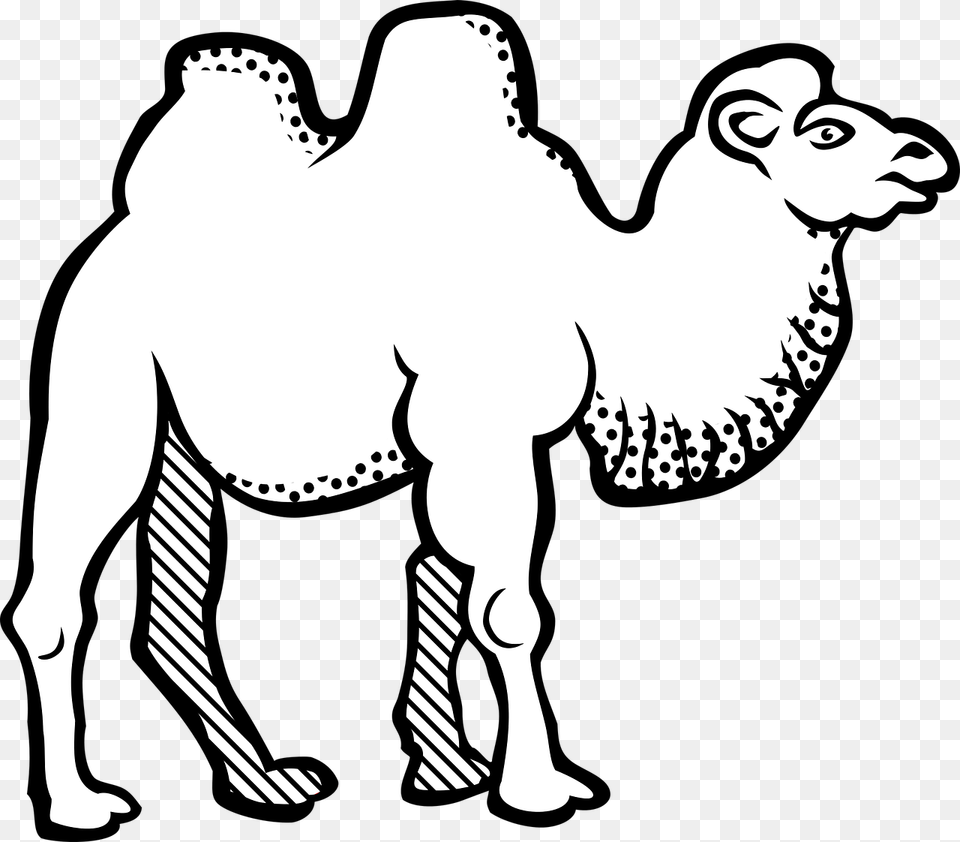 Bactrian Camel Black And White, Animal, Mammal, Bear, Wildlife Free Transparent Png