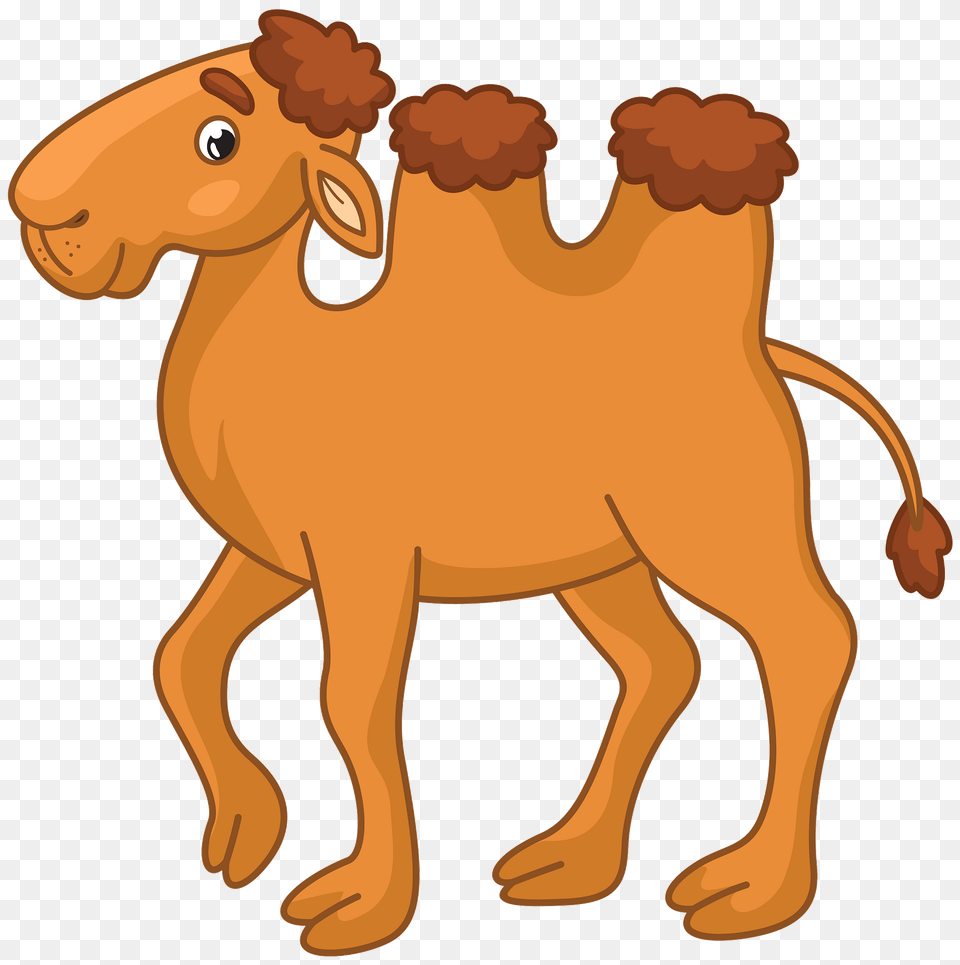 Bactrian Camel Clipart, Animal, Mammal, Kangaroo Free Png Download