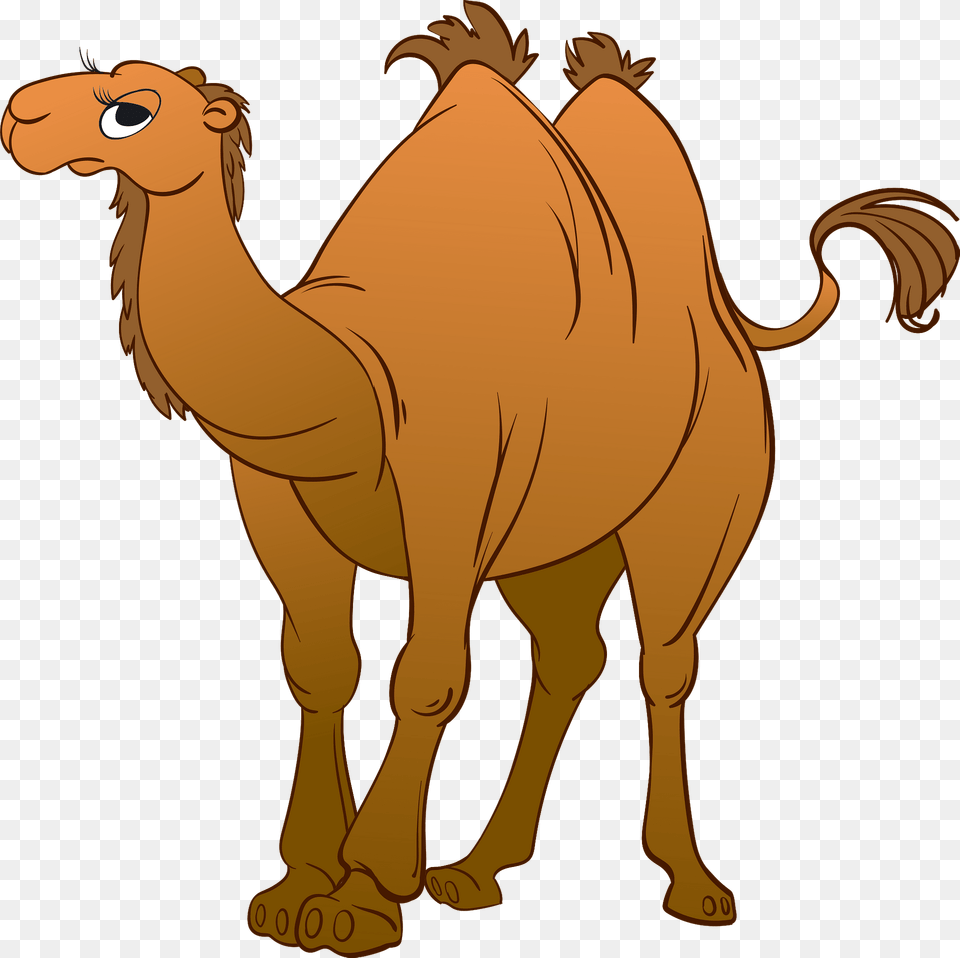 Bactrian Camel Clipart, Animal, Mammal, Dinosaur, Reptile Free Png