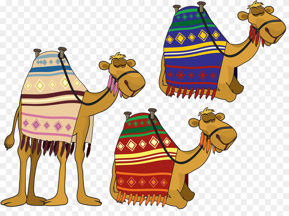 Bactrian Camel Computer Icons Clip Art Camel Bethlehem Clip Art, Animal, Mammal, Adult, Person Png