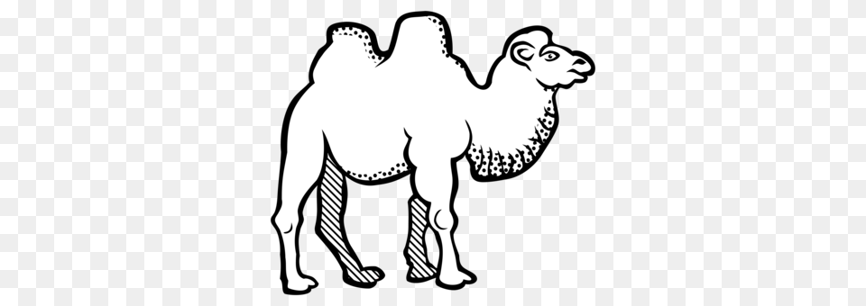 Bactrian Camel Download Drawing Camel Train Camel Graphics Animal, Mammal, Kangaroo Free Png