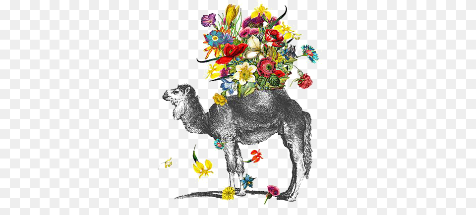 Bactrian Camel Drawing Watercolor Painting Baihuishop Windproof Golf Umbrella Compact For Travel, Flower Bouquet, Graphics, Flower Arrangement, Flower Free Png Download
