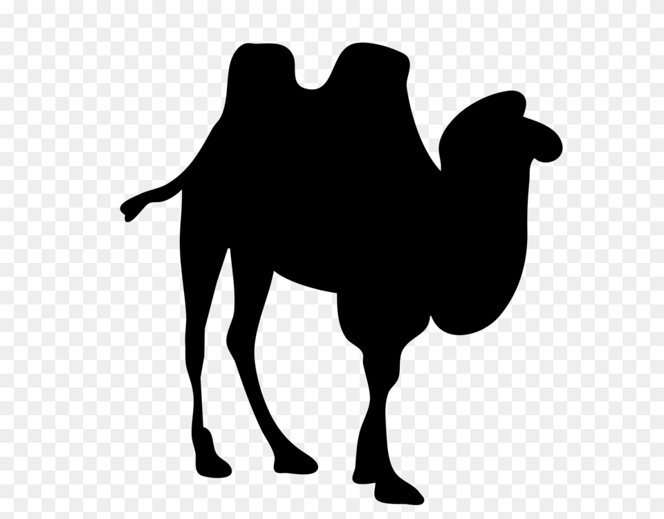 Bactrian Camel Dromedary Silhouette Camel Train, Gray Free Transparent Png