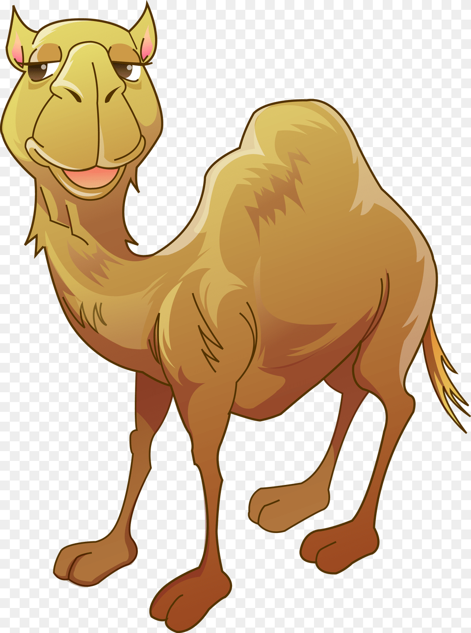 Bactrian Camel Humour Clip Art, Animal, Mammal, Kangaroo Free Transparent Png