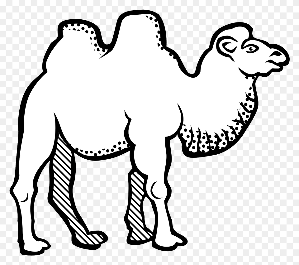 Bactrian Camel Outline Clipart, Animal, Mammal, Kangaroo Png Image