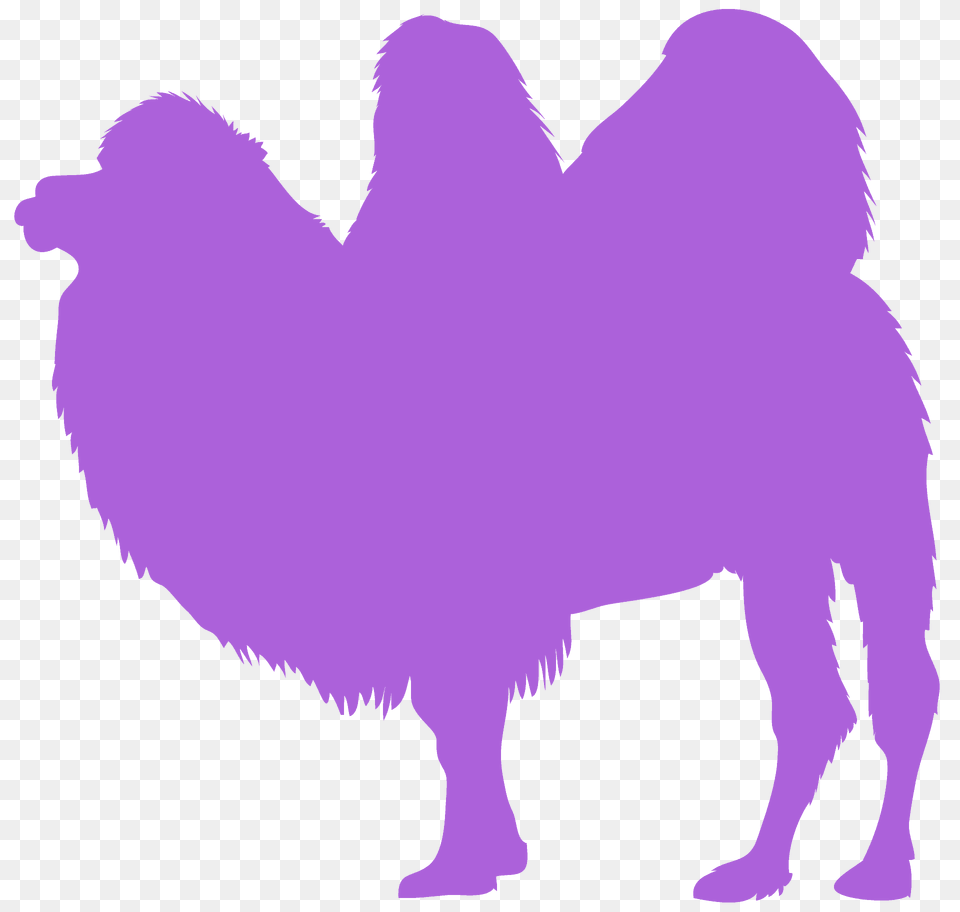Bactrian Camel Silhouette, Animal, Mammal, Bear, Wildlife Free Png Download
