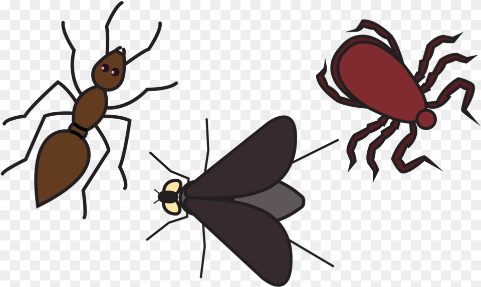 Bad Bugs, Animal Free Png Download