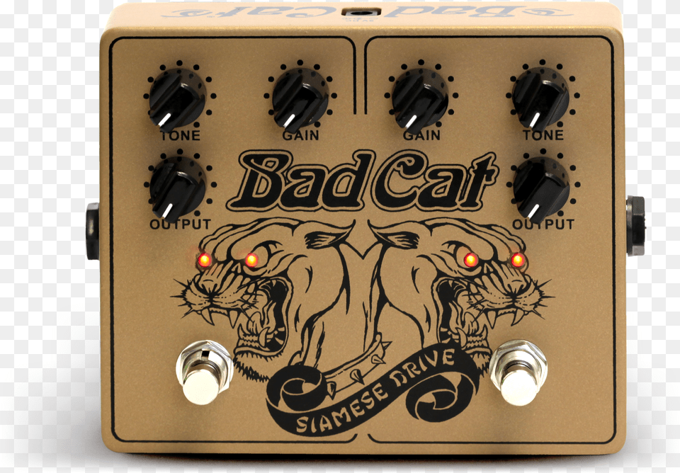 Bad Cat Siamese Drive Png Image