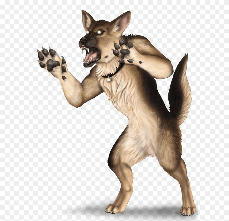 Bad Dog Bad Dog, Animal, Canine, German Shepherd, Mammal Free Transparent Png