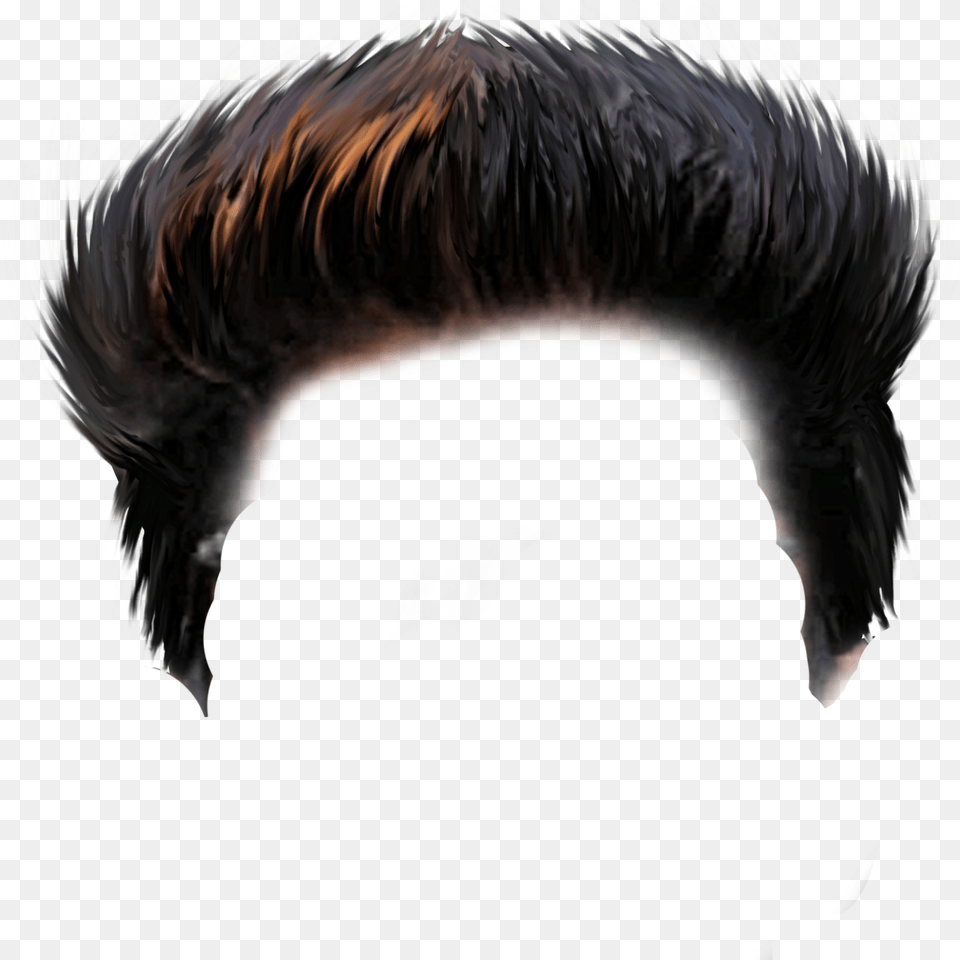 Bad Hair Clipart Donald Trump Free Transparent Png