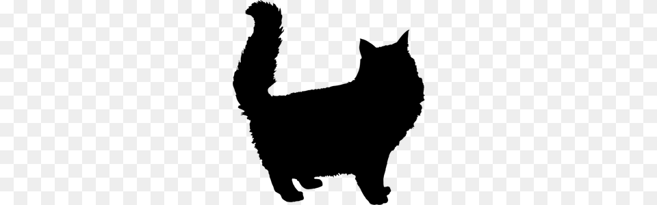 Bad Kitty Clip Art, Gray Free Transparent Png