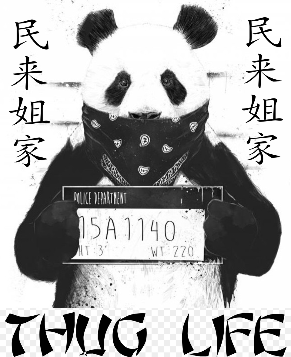 Bad Panda, Book, Publication, Animal, Bear Free Transparent Png