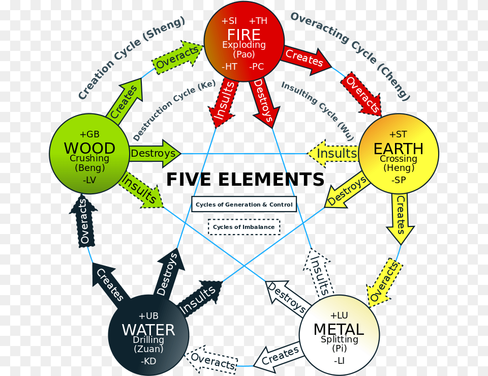 Badcanto 5 Elements Of Body, Network, Disk, Nature, Night Free Png Download