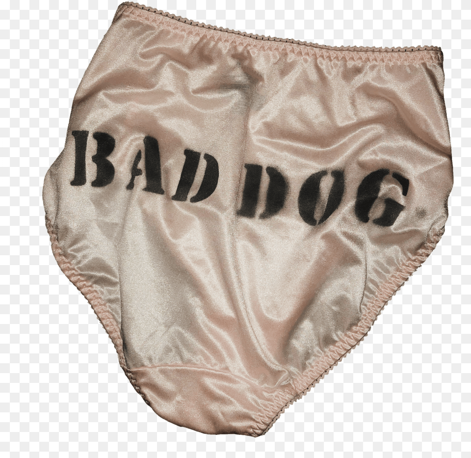 Baddogla Underwear, Clothing, Diaper, Lingerie, Panties Png