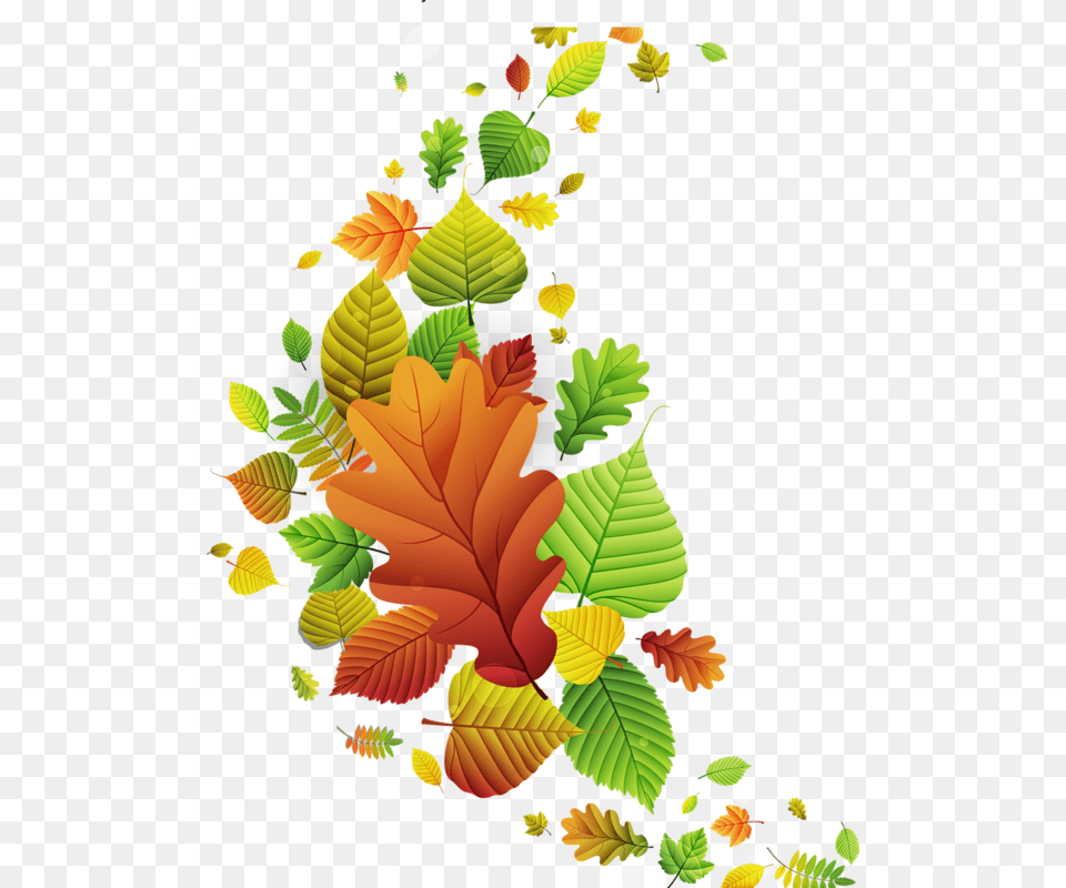 Badfb Orig Wallpaper Autumn Fall Autumn Painting, Leaf, Plant, Tree, Pattern Png