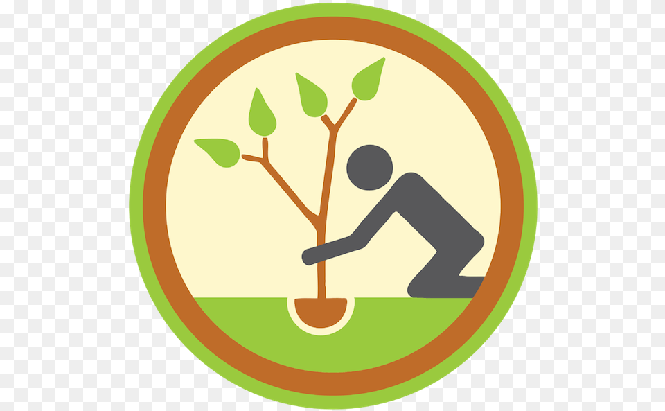 Badge Clipart Planting Trees Clipart Transparent, Leaf, Plant, Disk, Outdoors Png Image