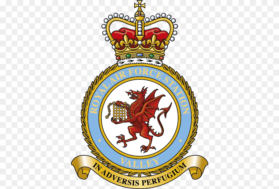 Badge For Raf Valley No 100 Squadron Raf, Logo, Symbol, Emblem, Animal Png Image