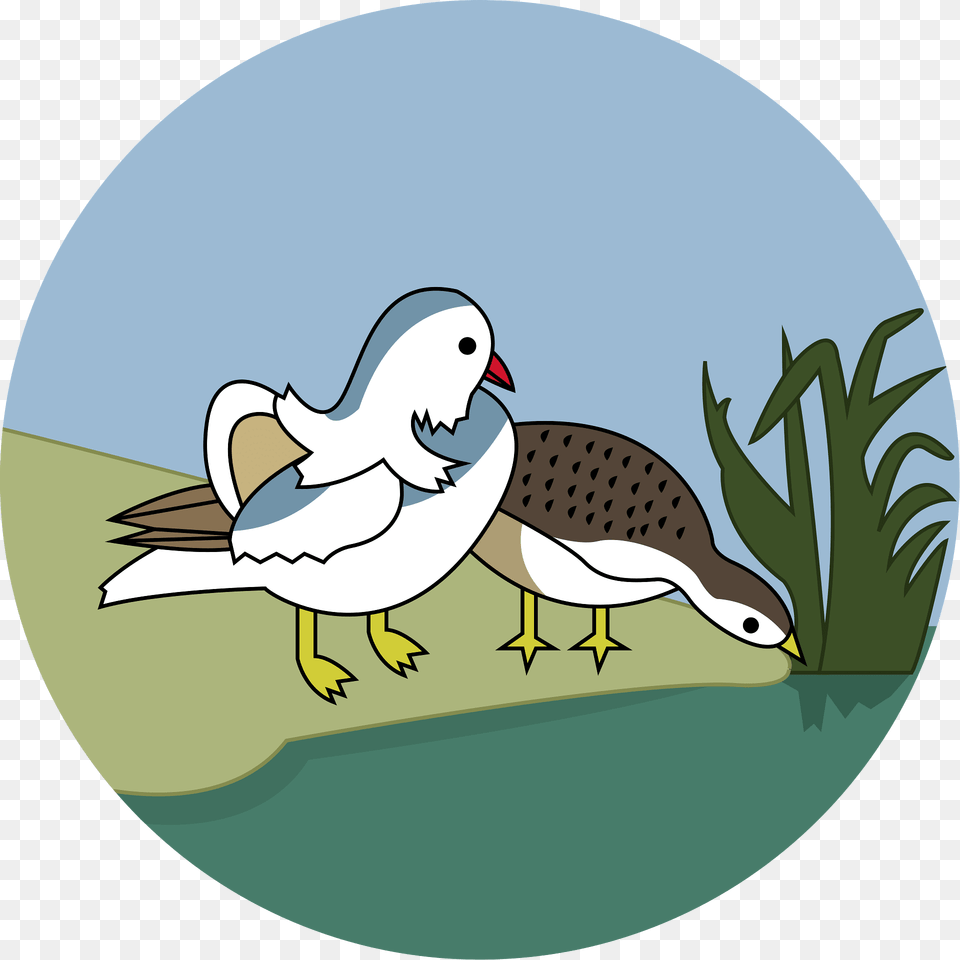 Badge Of British Weihaiwei Clipart, Animal, Beak, Bird, Seagull Free Png