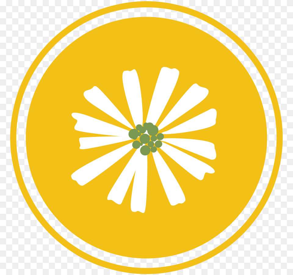 Badge Wikia Staff Gold Fandom, Anther, Daisy, Flower, Plant Png