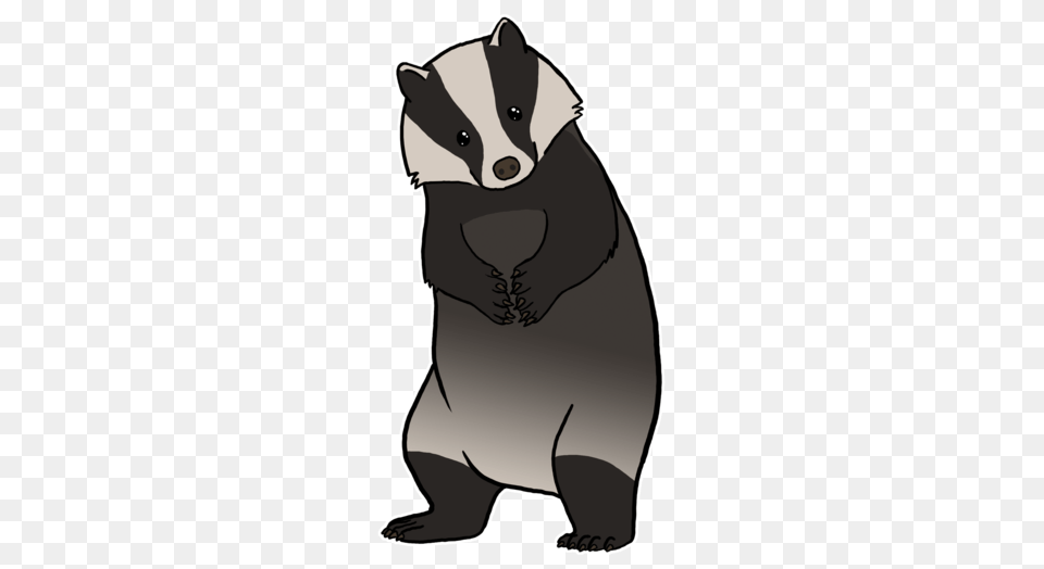 Badger, Animal, Wildlife, Mammal, Bear Free Transparent Png