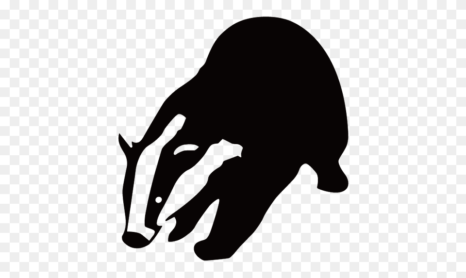 Badger, Animal, Bear, Mammal, Wildlife Free Png