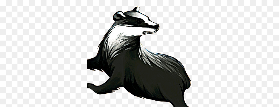 Badger, Animal, Mammal, Adult, Female Free Png