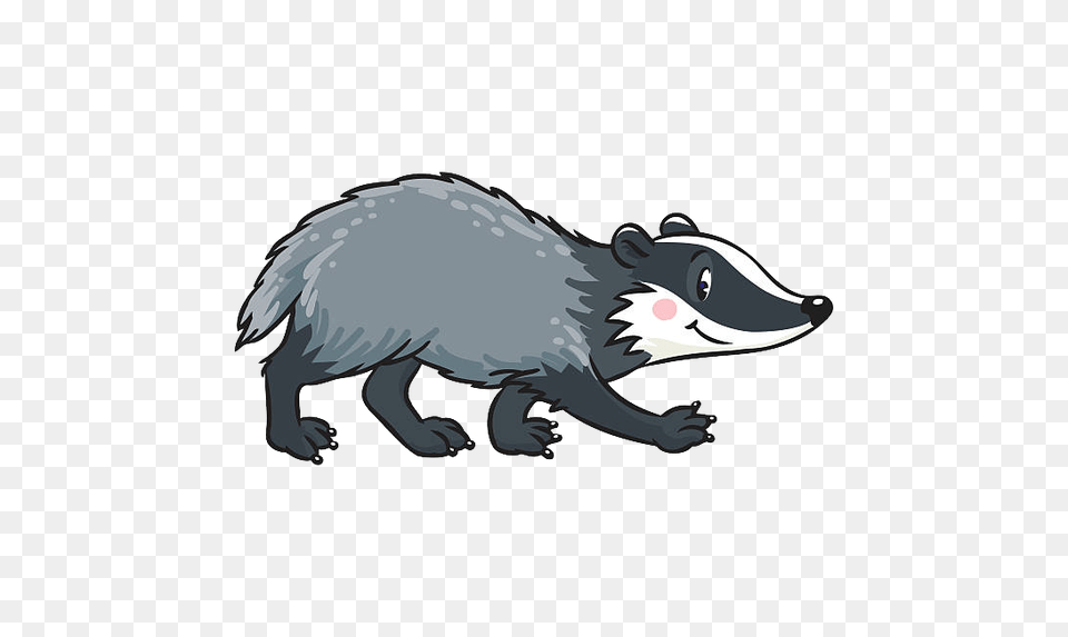 Badger, Animal, Wildlife, Mammal, Pig Free Png