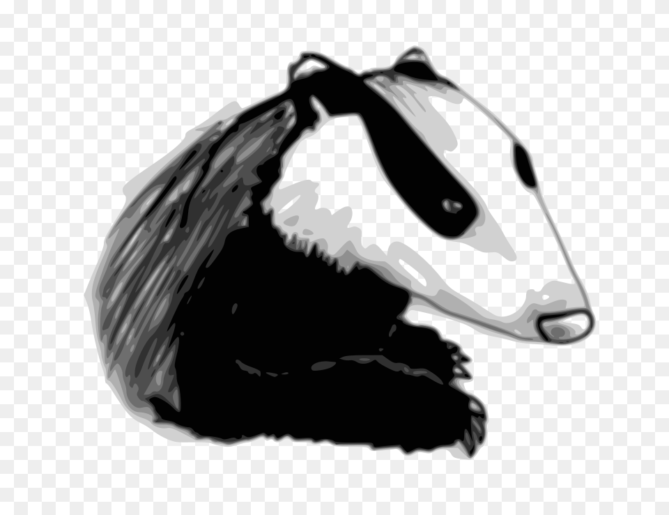 Badger, Animal, Wildlife, Mammal, Fish Free Png