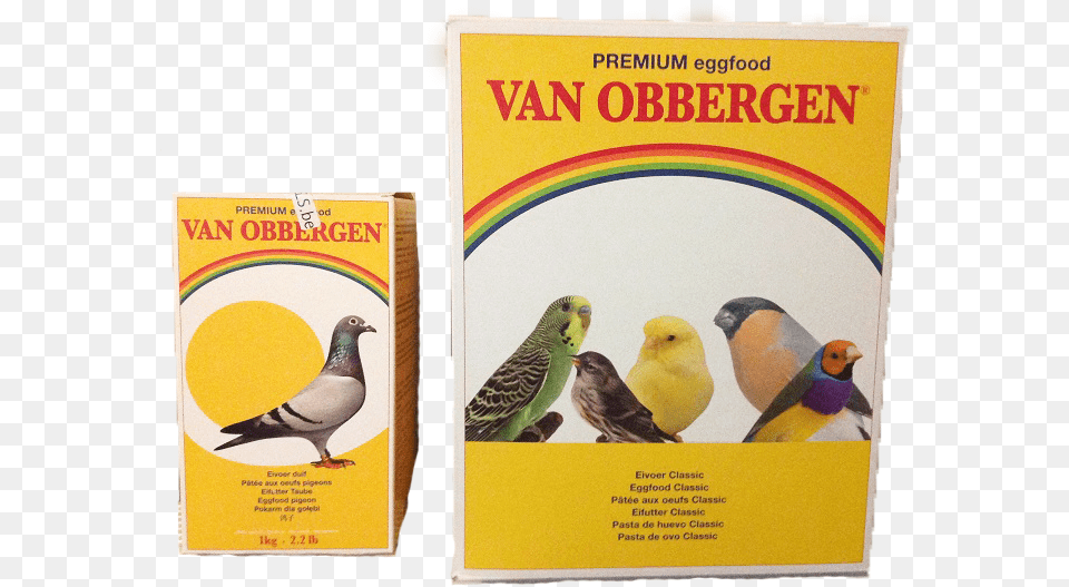 Bag, Animal, Bird, Advertisement, Poster Png Image