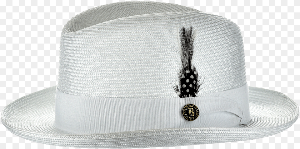 Bag, Clothing, Hat, Sun Hat Png Image