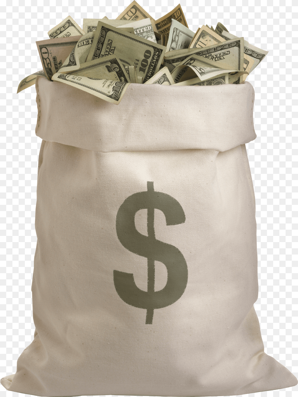 Bag Full Of Dollars Money, Adult, Bride, Female, Person Png