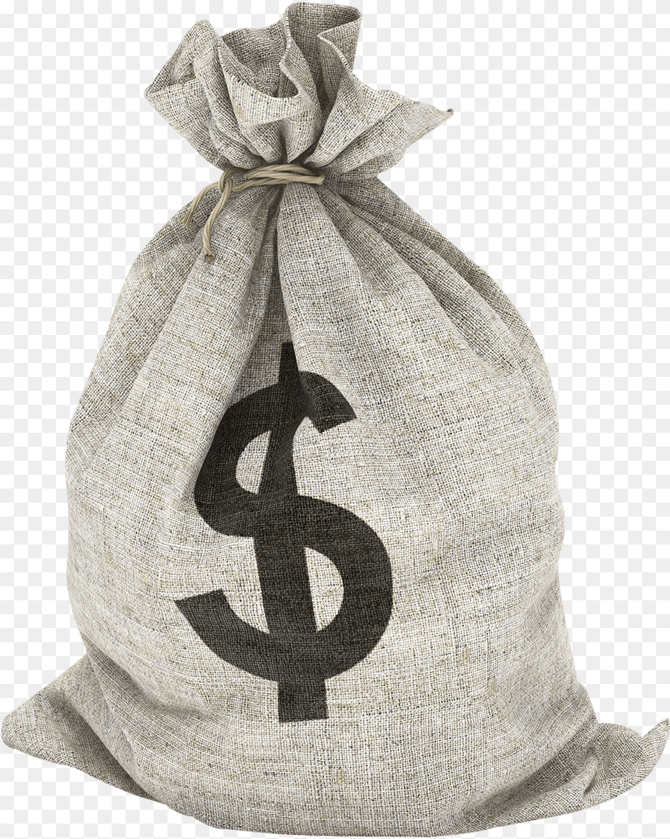 Bag Of Money, Adult, Bride, Female, Person Png