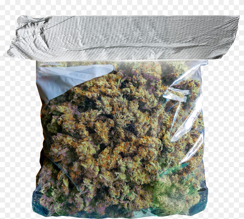 Bag Of Weed Clipart Gallery For Strip Of Duct Tape, Plant, Accessories, Handbag Free Png Download