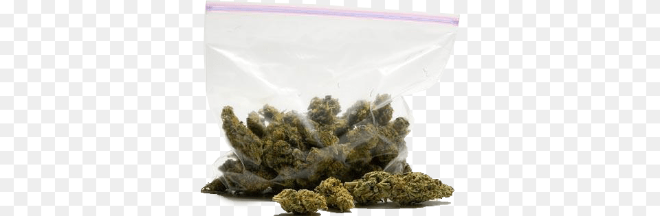 Bag Of Weed Royalty Cash Out Keisha, Herbal, Herbs, Plant Free Png