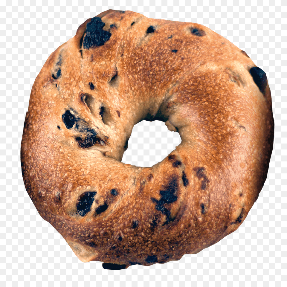 Bagel, Bread, Food, Animal, Fish Free Transparent Png