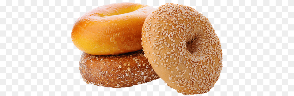 Bagel, Bread, Food, Burger, Citrus Fruit Png Image