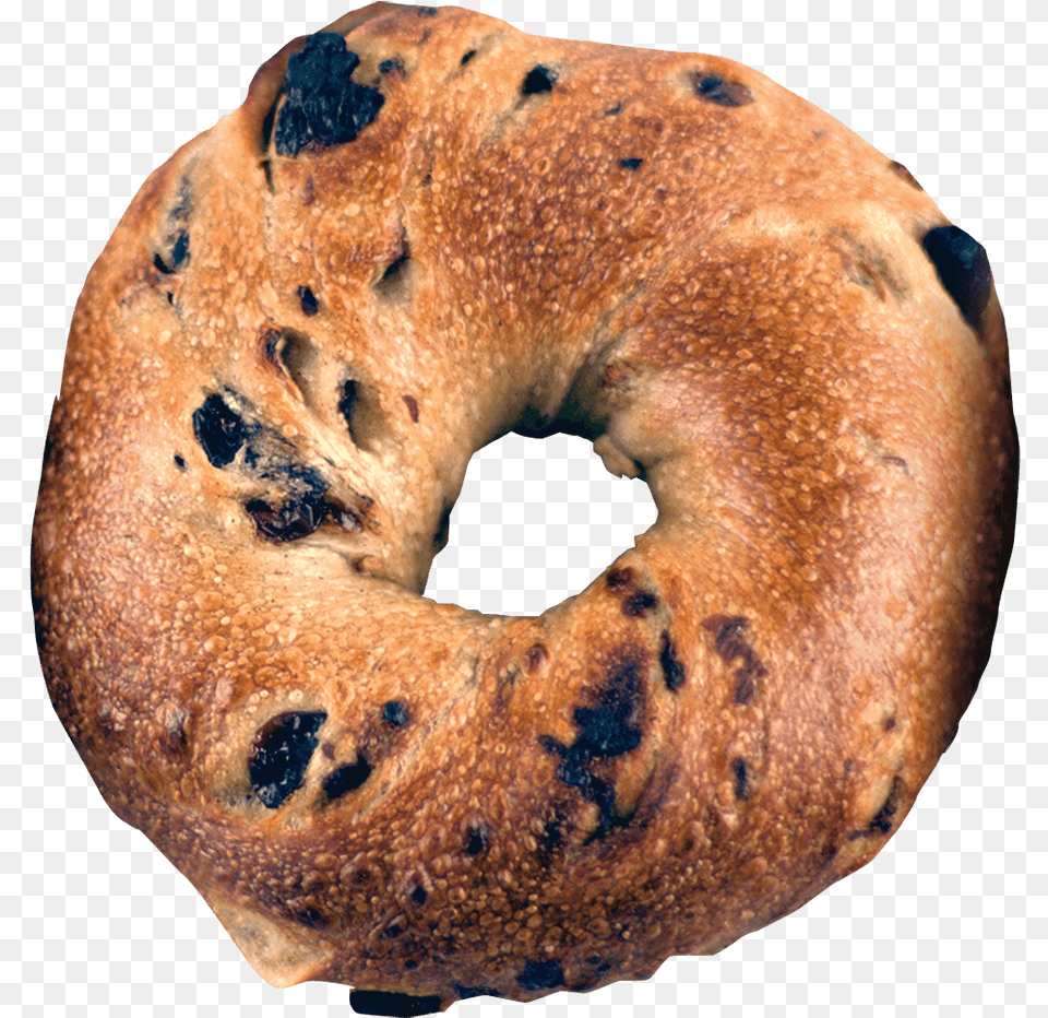 Bagel Image Bagel Flavors, Bread, Food, Animal, Lion Free Transparent Png