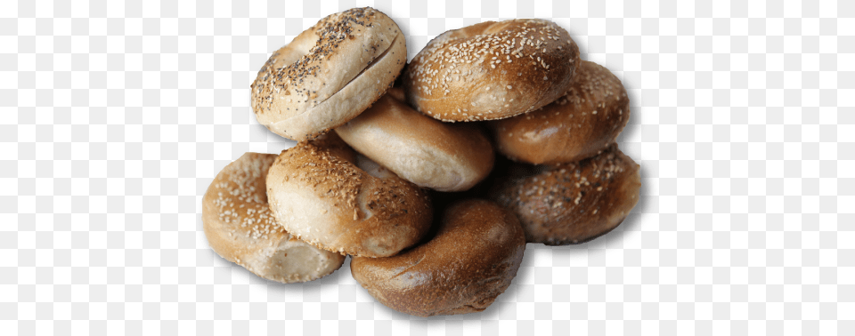 Bagel Landing, Bread, Bun, Food, Fungus Free Transparent Png