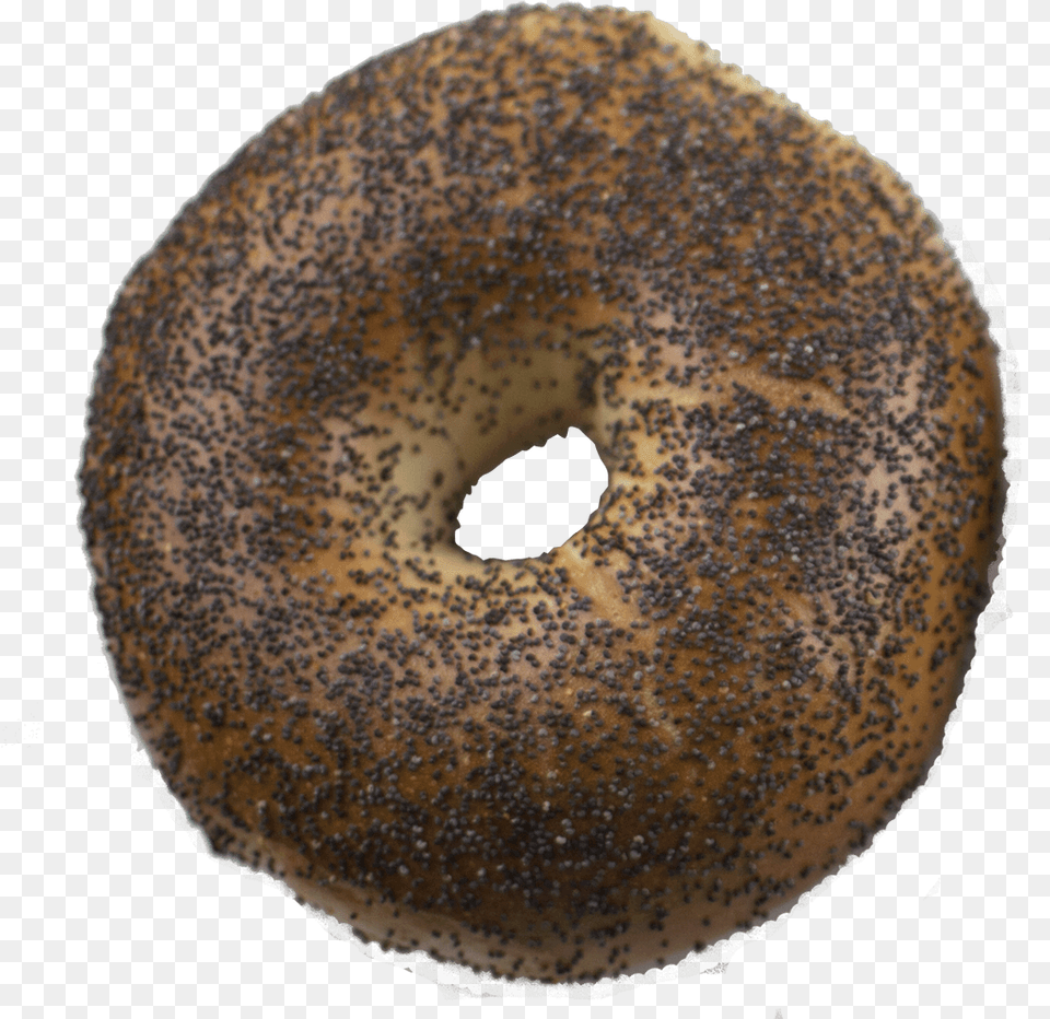 Bagels, Bagel, Bread, Food, Fungus Png