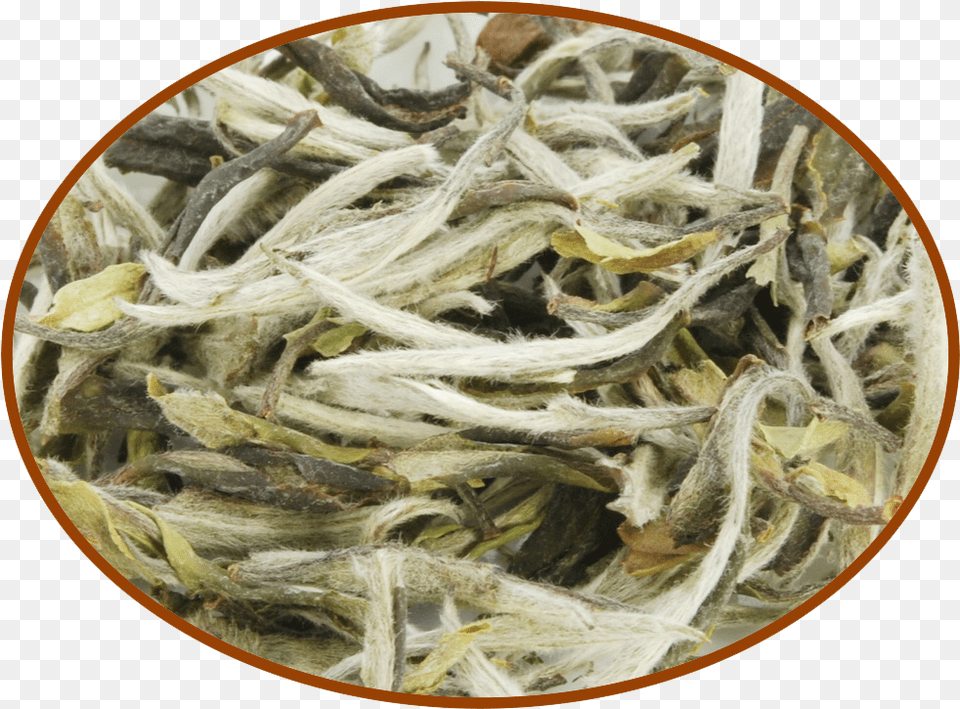 Bai Mu Dan White Tea, Wood Png