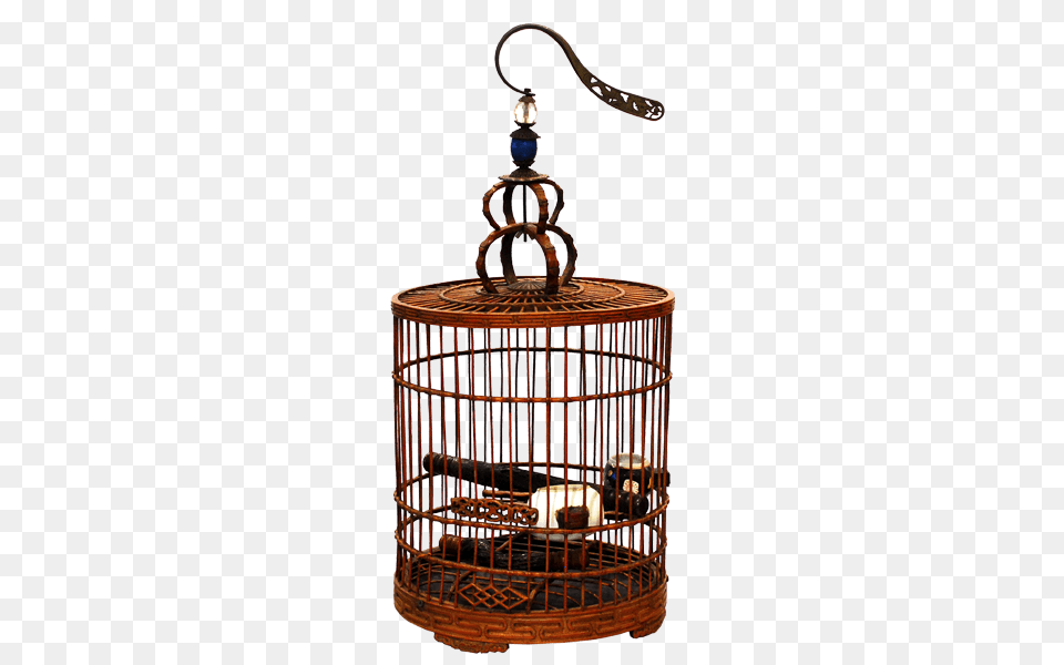 Bai Win Collection Bird Cages, Accessories, Earring, Jewelry, Lamp Free Transparent Png