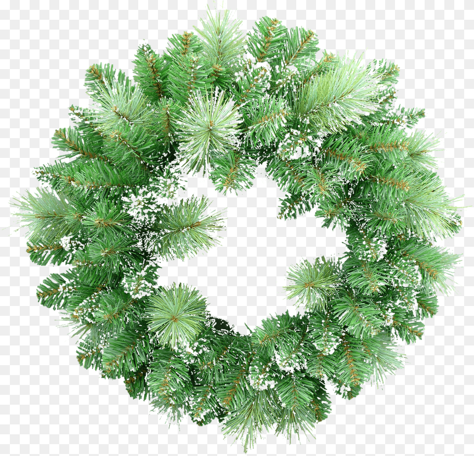 Bailey Pine Wreath Christmas Day, Plant, Tree Free Transparent Png