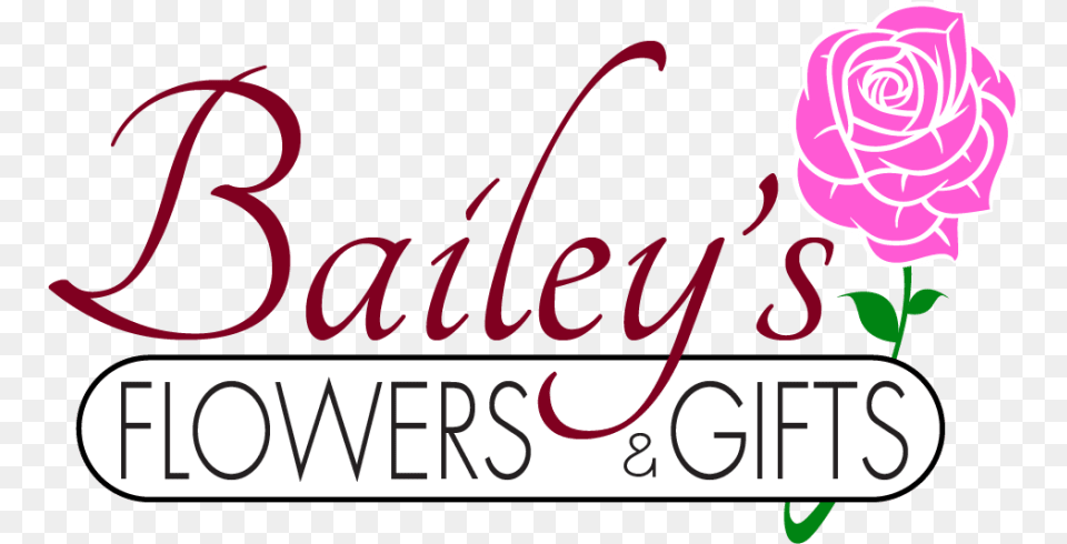 Bailey S Flowers And Gifts Florist Amp Gifts, Flower, Plant, Rose, Carnation Free Png