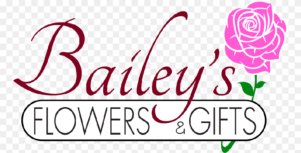 Baileyquots Flowers And Gifts Calligraphy, Flower, Plant, Rose, Carnation Free Png