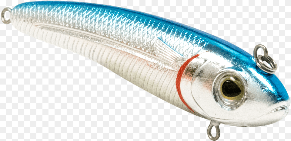 Bait Fish, Fishing Lure, Animal, Sea Life Free Transparent Png