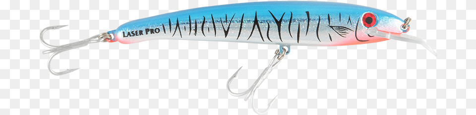 Bait Fish, Fishing Lure, Electronics, Hardware Free Png