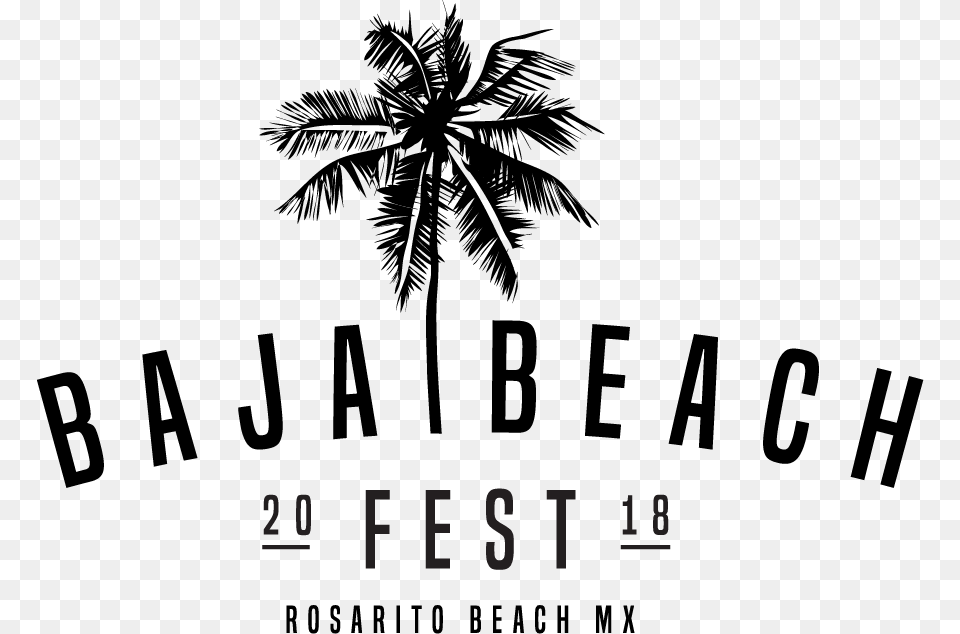 Baja Beach Fest 2018, Palm Tree, Plant, Summer, Tree Free Transparent Png