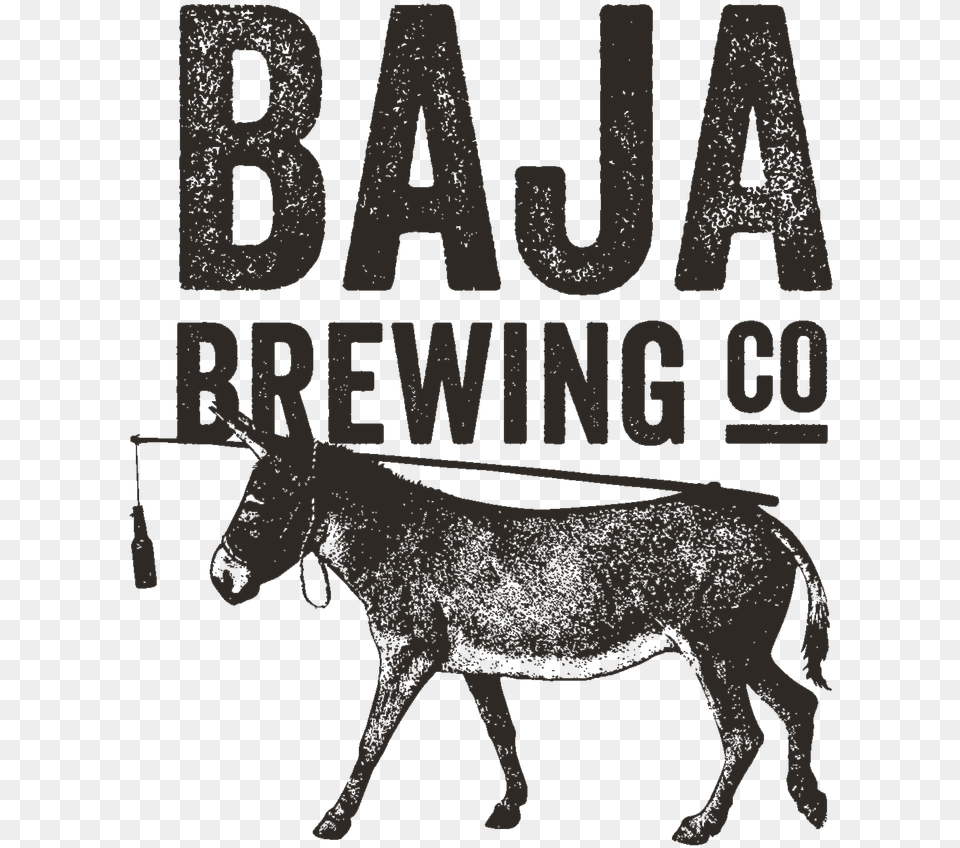 Baja Brewing Co Baja Brewing, Animal, Donkey, Mammal Free Png Download